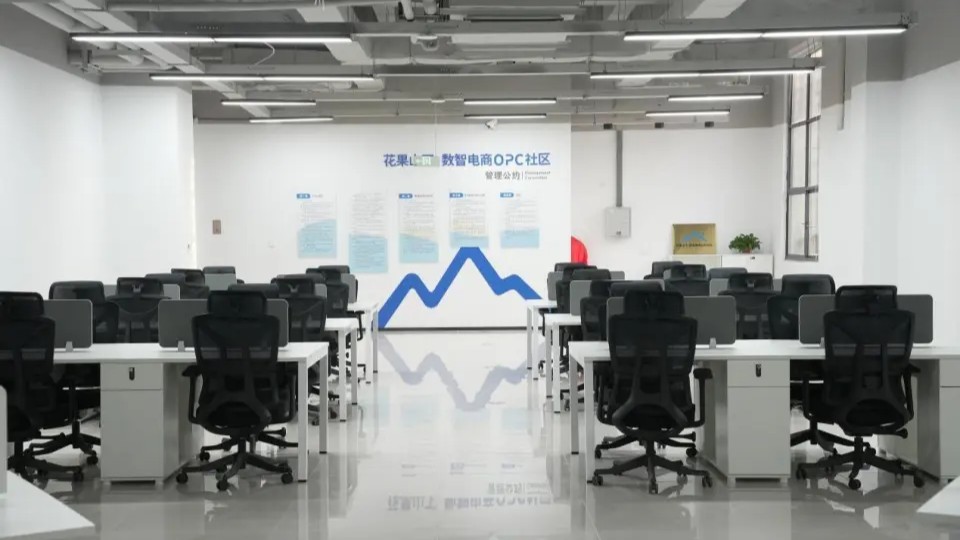 花果山下·数智电商OPC社区 - 1