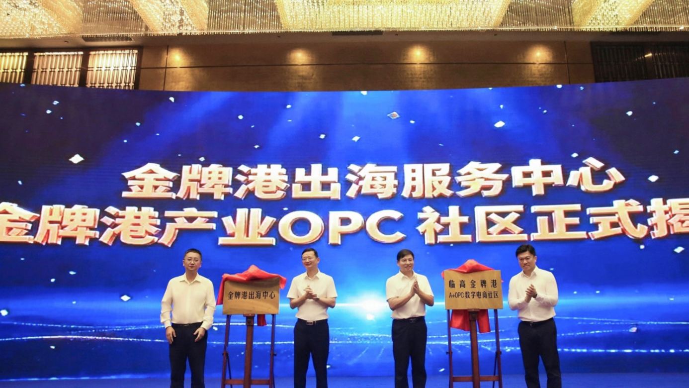 临高金牌港AI+OPC数字电商社区 - 1